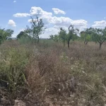 terreno-agrario (10)